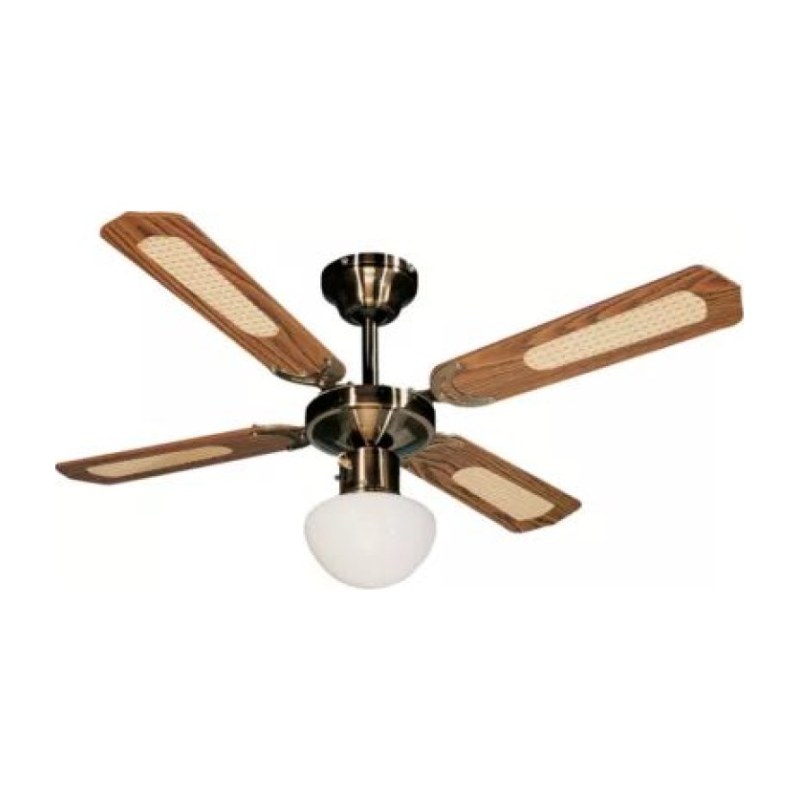 Ceiling fan 112422